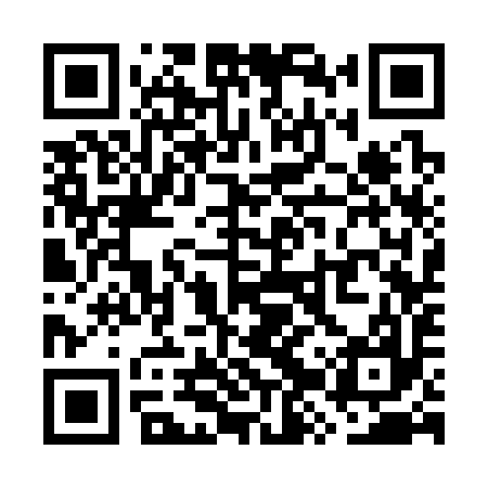 QR code for WZS397