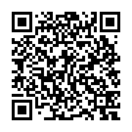 QR code for WZW339