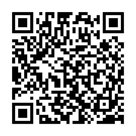 QR code for WZY173