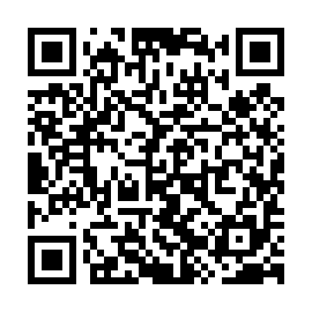 QR code for WZY495