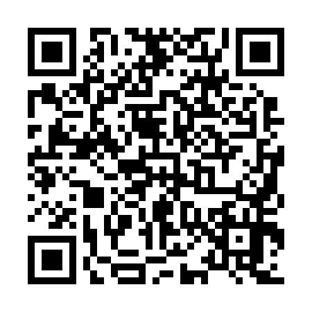 QR code for X012541
