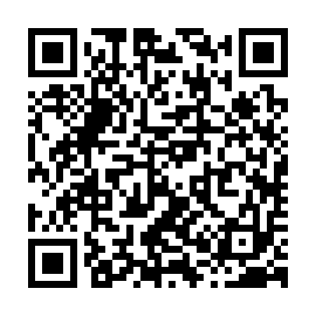 QR code for X02313