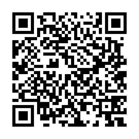 QR code for X024785