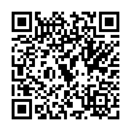 QR code for X027339