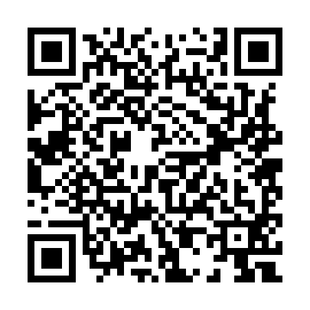 QR code for X029925