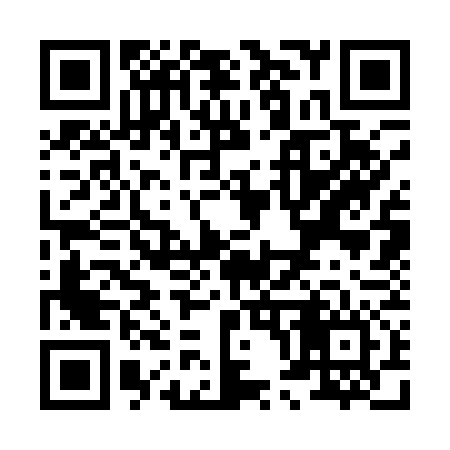 QR code for X03176