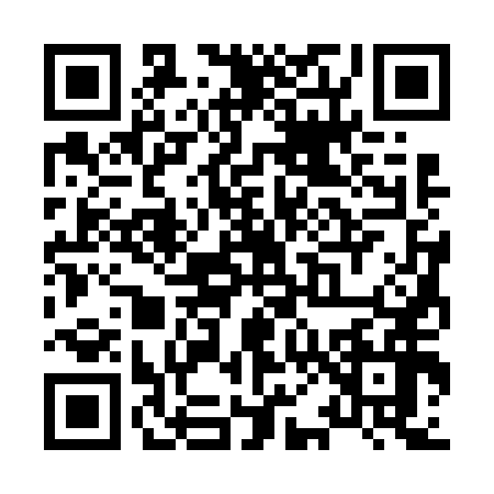 QR code for X036565