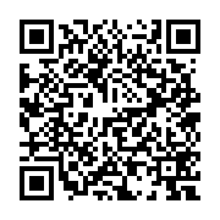 QR code for X037593