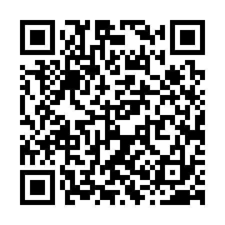 QR code for X04333
