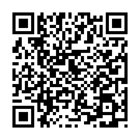 QR code for X046541