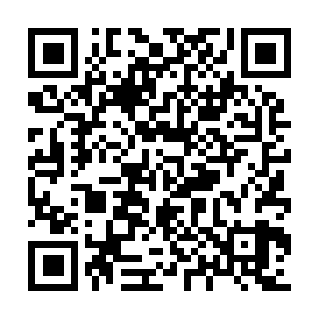 QR code for X04929