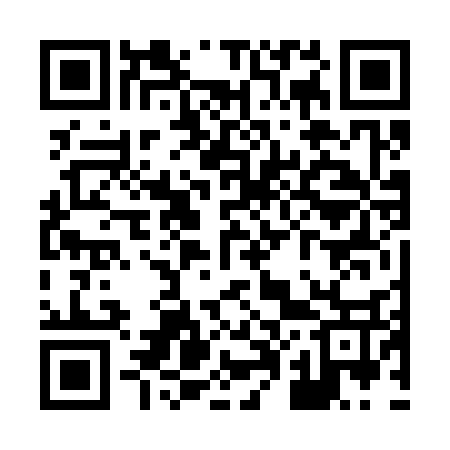QR code for X06337