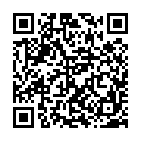 QR code for X06596
