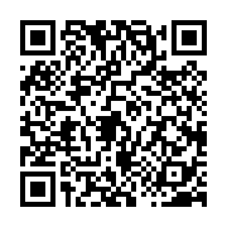 QR code for X100389
