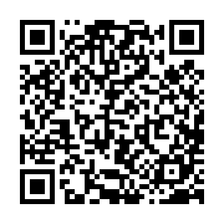 QR code for X10485
