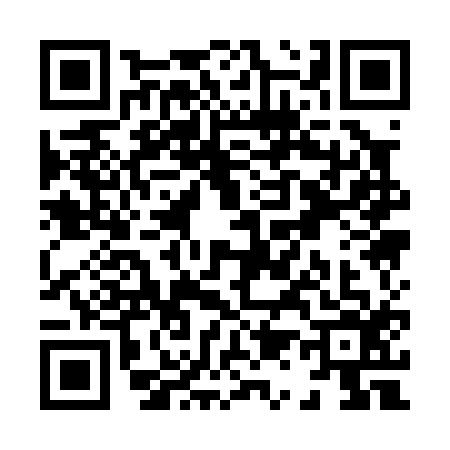 QR code for X110166