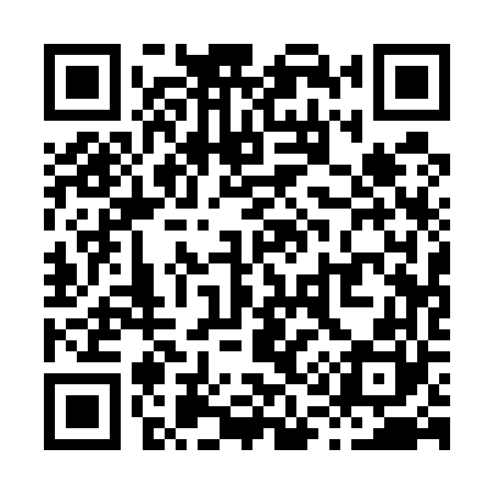 QR code for X11560
