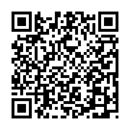 QR code for X118294