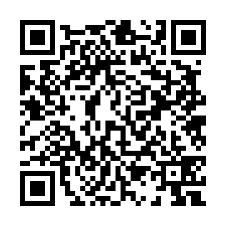 QR code for X124398