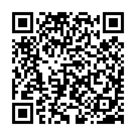 QR code for X12498
