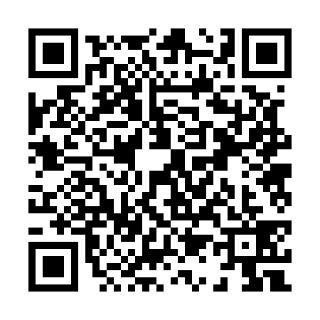 QR code for X125396