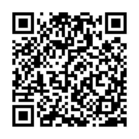 QR code for X12550