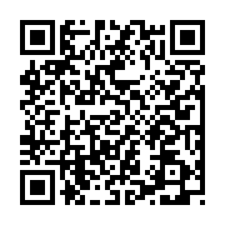 QR code for X125528