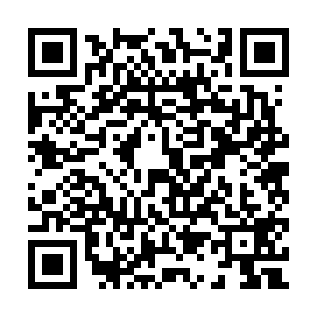 QR code for X126195