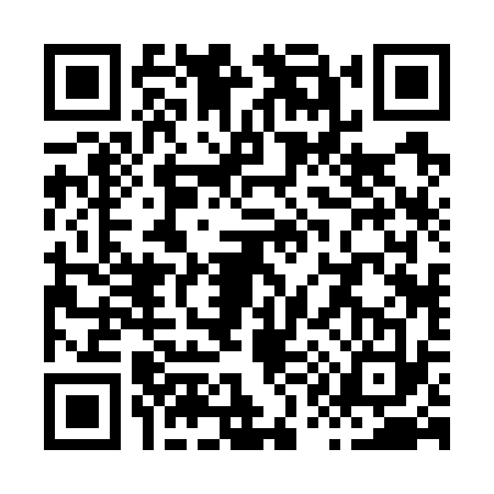 QR code for X127333