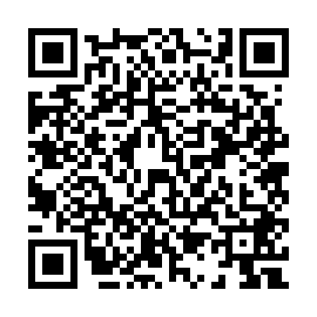 QR code for X127486