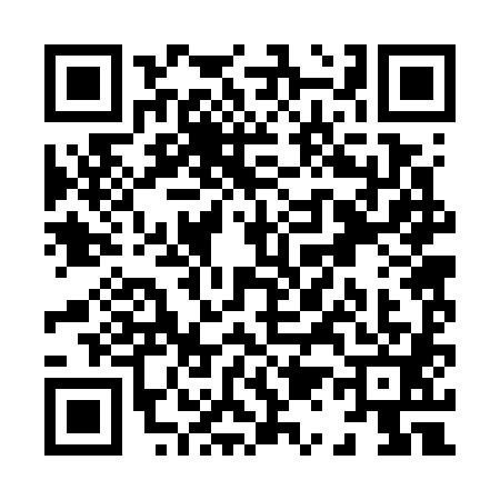 QR code for X127817