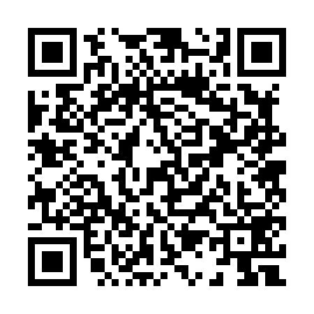 QR code for X128593