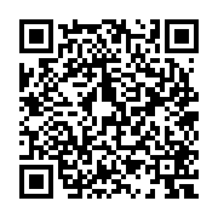 QR code for X132495