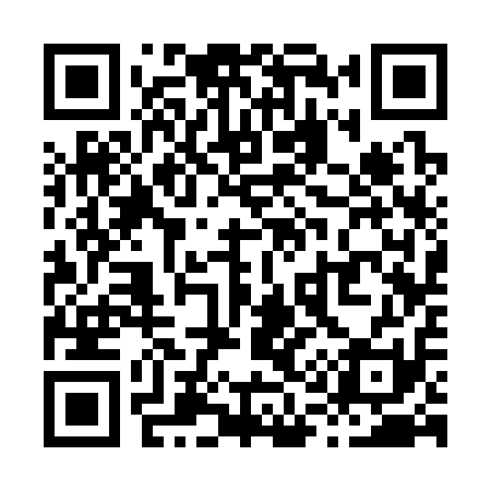 QR code for X13311
