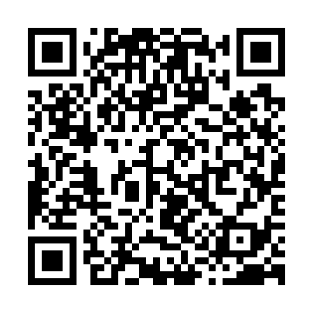 QR code for X13739