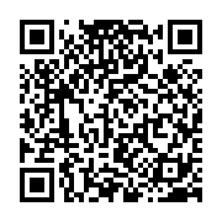 QR code for X13831