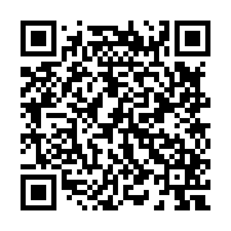 QR code for X13845