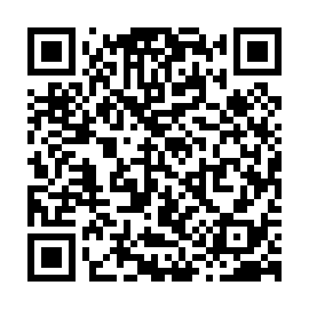 QR code for X15038