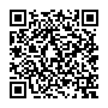 QR code for X155202