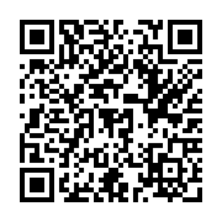 QR code for X163202