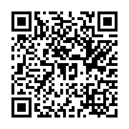 QR code for X166383