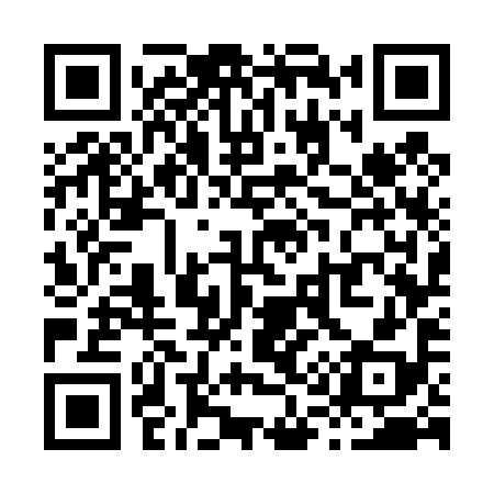 QR code for X17498