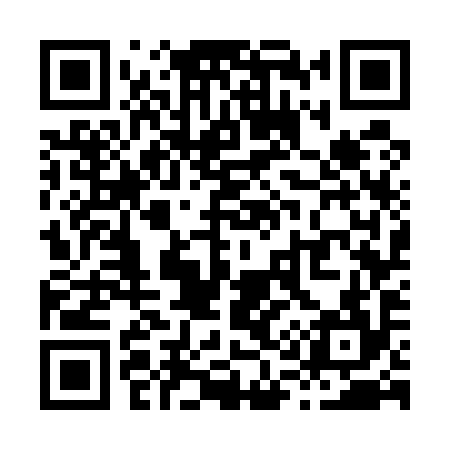 QR code for X17594