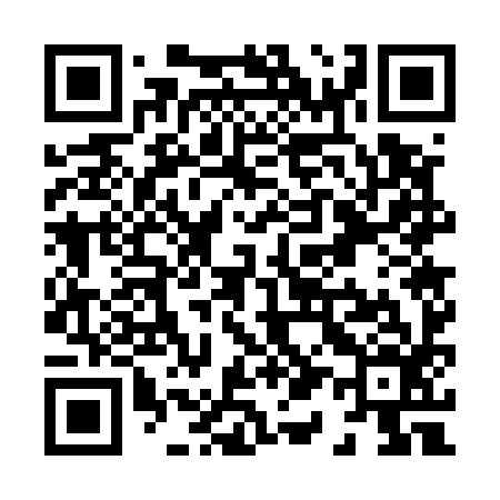 QR code for X17596