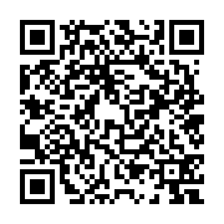 QR code for X176321