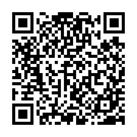 QR code for X17687