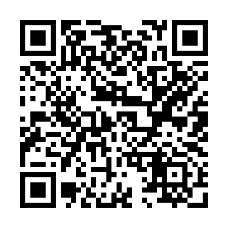QR code for X19393