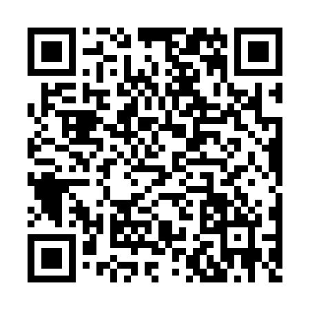 QR code for X203208