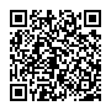 QR code for X206123