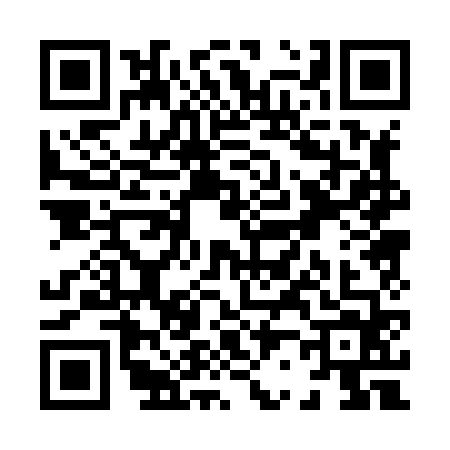 QR code for X208641